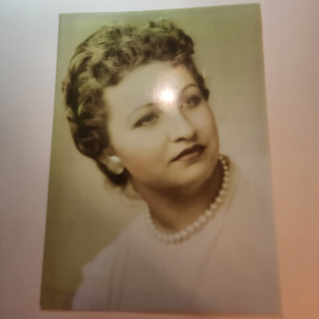 The current image has no alternative text. The file name is: 20231113_144054.jpg